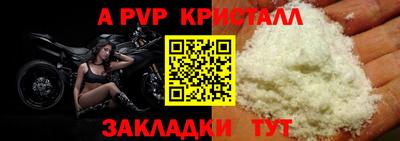 PSILOCYBIN Северобайкальск